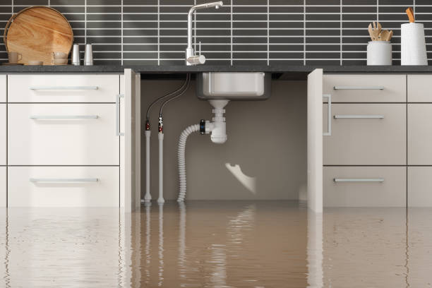  Moody, AL Water damage restoration Pros