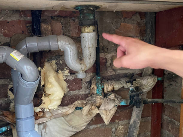 Best Ceiling water damage repair  in Moody, AL