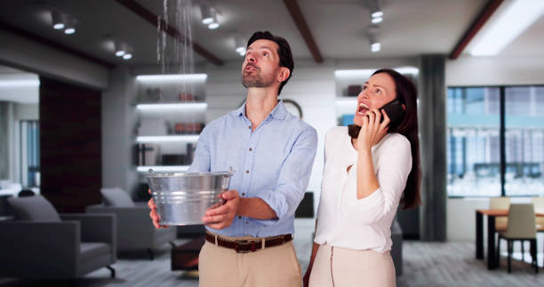 Best Ceiling water damage repair  in Moody, AL